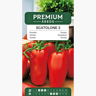 Pomodoro Scatolone 3 - Super produttivo, pieno di sapore