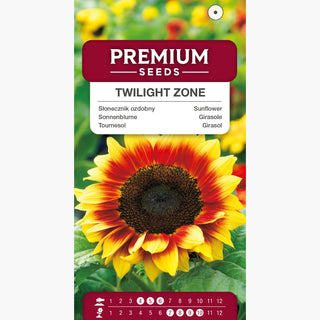 Girasole - Twilight Zone - Unico, in fiore fino all’autunno - Helianthus annuus