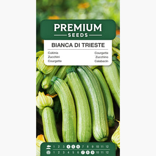 Zucchino - Bianca di Trieste - Sapore distintivo, facile da coltivare, scelta salutare e gustosa