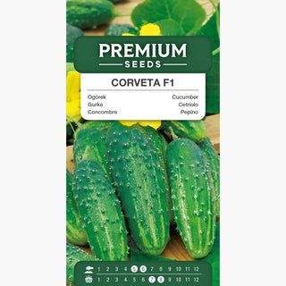 Cetriolo Corveta F1 - Precoce, produttivo, senza amarezza - ideale per insalate e conserve