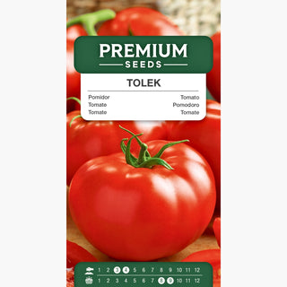 Pomodoro Tolek - Frutti succosi e giganti, estremamente produttivo