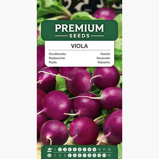 Ravanello Viola - Rotonda, viola, succosa, leggermente piccante