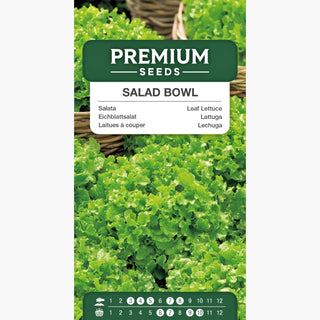 Lattuga - Salad Bowl - Dal sapore delicato raccolta multipla