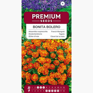 Tagete Bonita Bolero - Fioritura lunga e abbondante dall'estate all'autunno - Tagetes patula