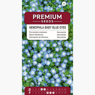 Nemophila Blu - Blu delicato per vasi e aiuole - Nemophila menziesii