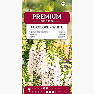 Digitale - Bianco - Forma estremamente decorativa e altezza - Digitalis purpurea