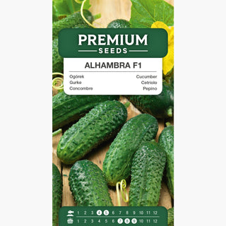 Cetriolo Alhambra F1 - Precoce, resistente alle malattie, senza amarezza