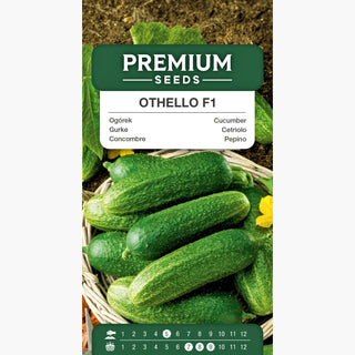 Cetriolo Othello F1 - Super precoce, da campo aperto, resistente alle malattie