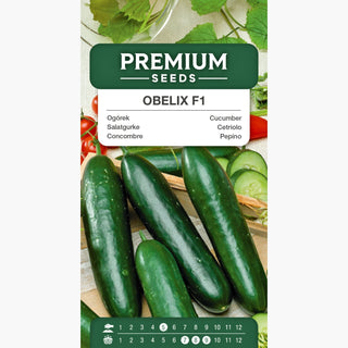 Cetriolo Obelix F1 - Da campo aperto, medio-precoce - ideale per insalate e panini