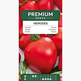 Pomodoro Herodes - Crescita vigorosa, alta produttività, frutti grandi