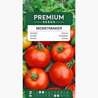 Pomodoro Moneymaker - Produttivo, ideale per campo aperto e sotto copertura
