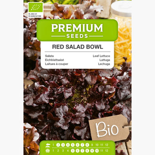 BIO Lattuga Red Salad Bowl - Decorativa e croccante