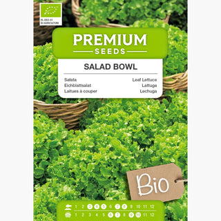 BIO Lattuga - Salad Bowl - Successo dell’insalata in versione biologica