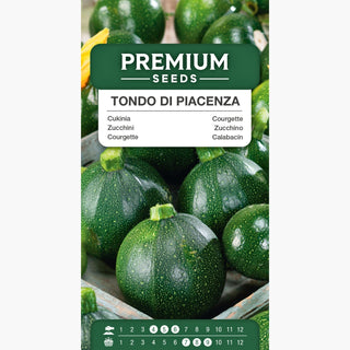 Zucchino Tondo di Piacenza - Forma sferica, perfetto per friggere e stufare