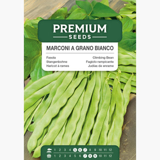 Fagiolo rampicante - Marconi A Grano Bianco - Tipo Mamut - Baccelli grandi e carnosi