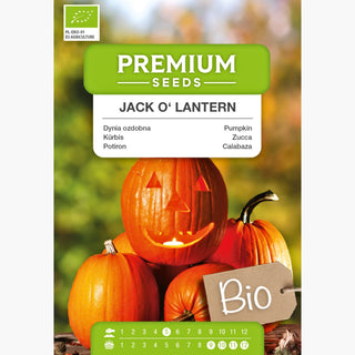 BIO Zucca Jack O'Lantern - Decorazione autunnale ecologica