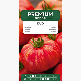 Pomodoro Duo - Super produttivo, frutti rossi succosi