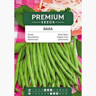 Fagiolo nano - Saxa - Matura presto e produce rapidamente