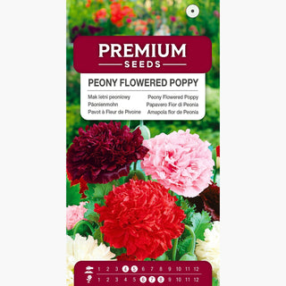 Papavero Fior di Peonia - Miscuglio - Spettacolo incredibilmente colorato, fiori pieni, facile da coltivare - Papaver paeoniflorum