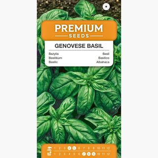Basilico Genovese - Aroma distinto, facile da coltivare, benefici per la salute - Ocimum basilicum