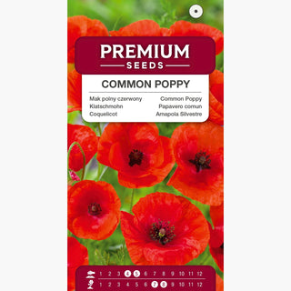 Papavero comune - Decorazione infuocata per bordure! - Papaver rhoeas