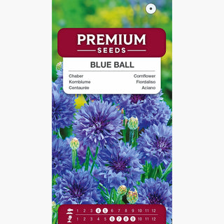 Fiordaliso - Delicata bellezza delle aiuole! - Centaurea cyanus