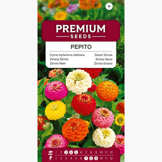 Zinnia Nana Pepito Miscuglio - Fiori pieni a pom-pom, ideali per bordure e vasi - Zinnia elegans