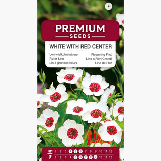 Lino a Fiori Grandi - Bianco con Centro Rosso - Facile da coltivare, ornamentale - Linum grandiflorum