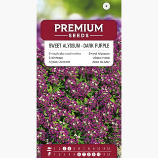 Alisso Nano - Viola Scuro - Fioritura continua per tutta l’estate - Lobularia maritima