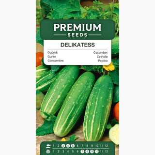 Cetriolo - Delikateß - Piccoli frutti succosi, precoce e produttivo