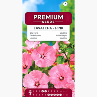 Malva Regina - Rosa - Spettacolare, compatta e facile da coltivare - Lavatera trimestris