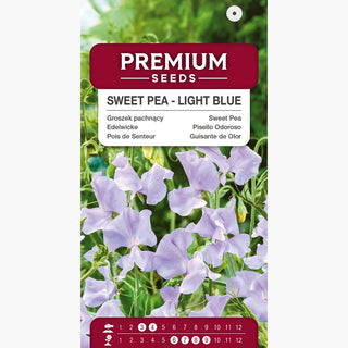 Pisello Odoroso - Azzurro Chiaro - Toni delicati di blu nei fiori - Lathyrus odoratus