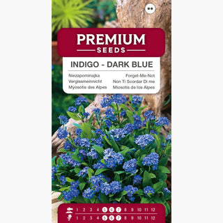 Non Ti Scordar Di me - Indigo - Blu Scuro - Compatta, facile da coltivare, fioritura prolungata - Myosotis alpestris
