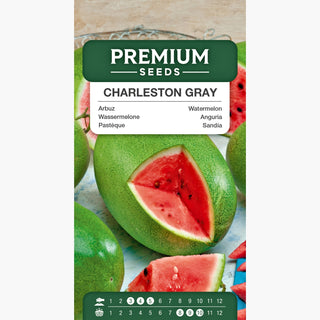 Anguria Charleston Gray - Frutti enormi e dolci - una delizia per il palato! - Citrullus lanatus