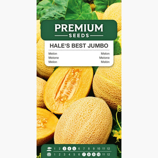 Melone Hale's Best Jumbo - Sapore e aroma squisiti, facile da coltivare - Cucumis melo
