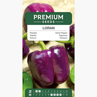 Peperone Loran - Colore insolito, gusto eccezionale
