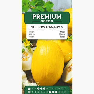 Melone Yellow Canary 2 - Dolcezza eccezionale, perfetto per insalate e frullati - Cucumis melo