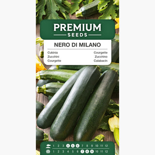 Zucchino - Nero di Milano - Raccolti gustosi e abbondanti, lungo periodo di raccolta