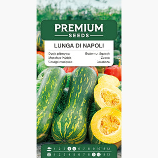 Zucca Lunga Di Napoli - Frutti eccezionalmente lunghi con un sapore straordinario - Cucurbita moschata