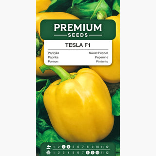 Peperone Tesla F1 - Dolce e succoso - ricco di sapore!