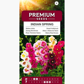 Altea o Malvone Nano - Indian Spring - Decorazione estiva per aiuole basse - Alcea rosea