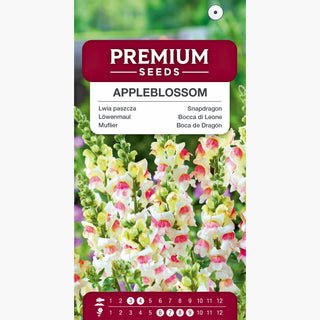 Bocca di Leone - Appleblossom - Miscele delicate di rosa e bianco - Antirrhinum majus maximum