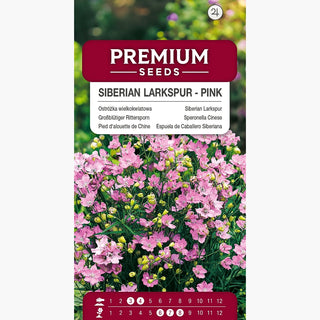 Speronella Cinese Rosa - Alta e maestosa, sfondo ideale - Delphinium grandiflorum