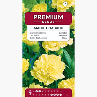 Garofano - Marie Chabaud - Giallo chiaro, perfetto per fiore reciso - Dianthus caryophyllus