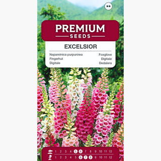 Digitale - Excelsior Miscuglio - Fiori campanulati incantevoli, biennale - Digitalis purpurea