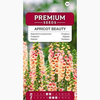 Digitale - Apricot Beauty - Eleganza albicocca sottile e slanciata - Digitalis purpurea