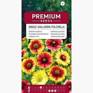 Gaillardia pulchella - Semplice Miscuglio - Tonalità calde, fioritura duratura - Gaillardia pulchella