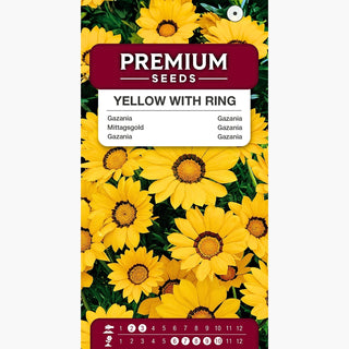 Gazania - Giallo con Anello - Motivo a contrasto che attira lo sguardo - Gazania splendens
