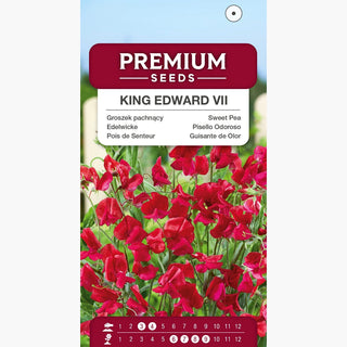 Pisello Odoroso - King Edward VII - Colore intenso e profumo deciso - Lathyrus odoratus