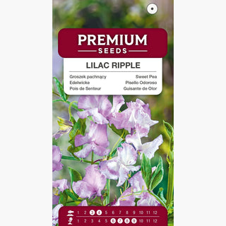 Pisello Odoroso - Lilac Ripple - Fiori appariscenti dal profumo intenso - Lathyrus odoratus